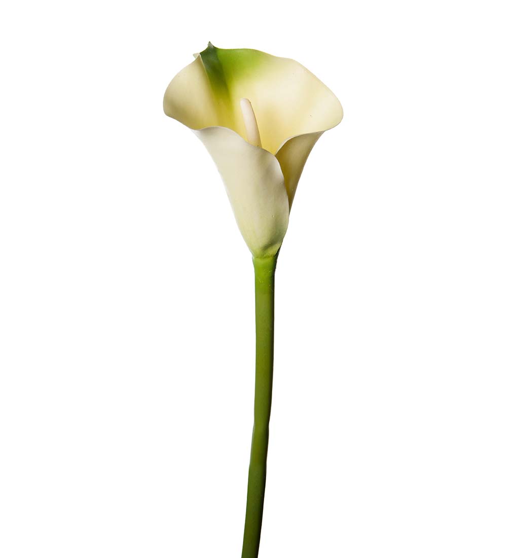 Calla Vit/gr&ouml;n 80cm, Konstgjord