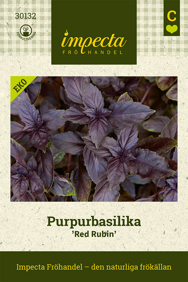 Basilika, Purpur-, Red Rubin