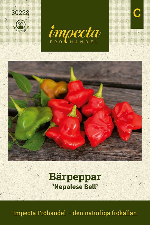 Bärpeppar Nepalese Bell - Capsicum baccatum Nepalese Bell