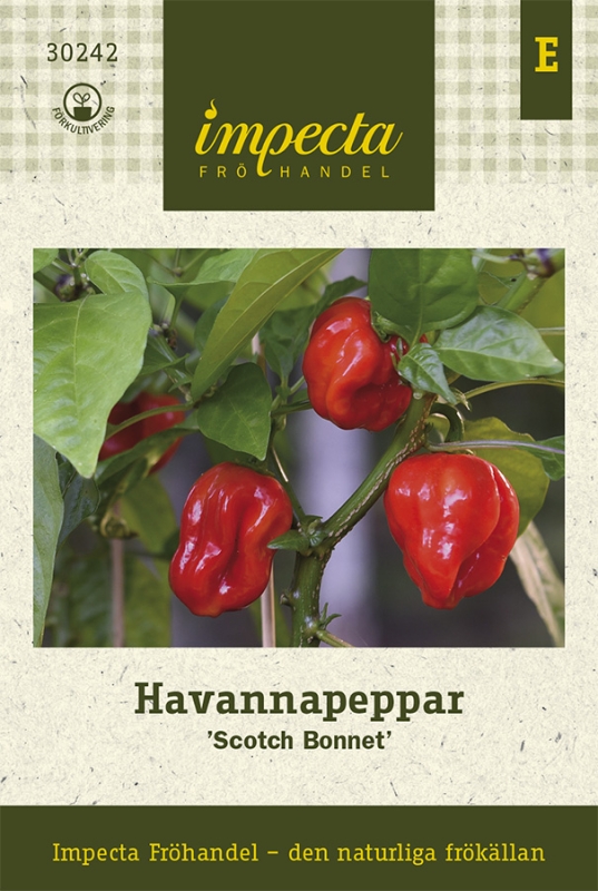 Havannapeppar Scotch Bonnet - Capsicum chinense Scotch Bonnet