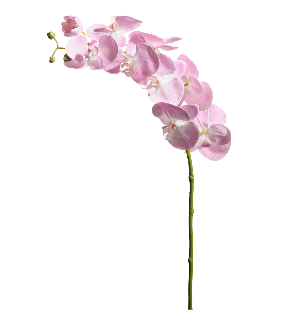 Läs mer om Orkidé Ljusrosa 75cm, Konstgjord
