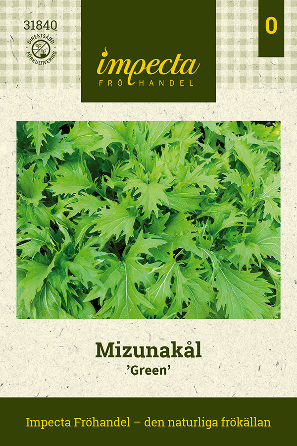 Mizunakål Green - Brassica rapa Green