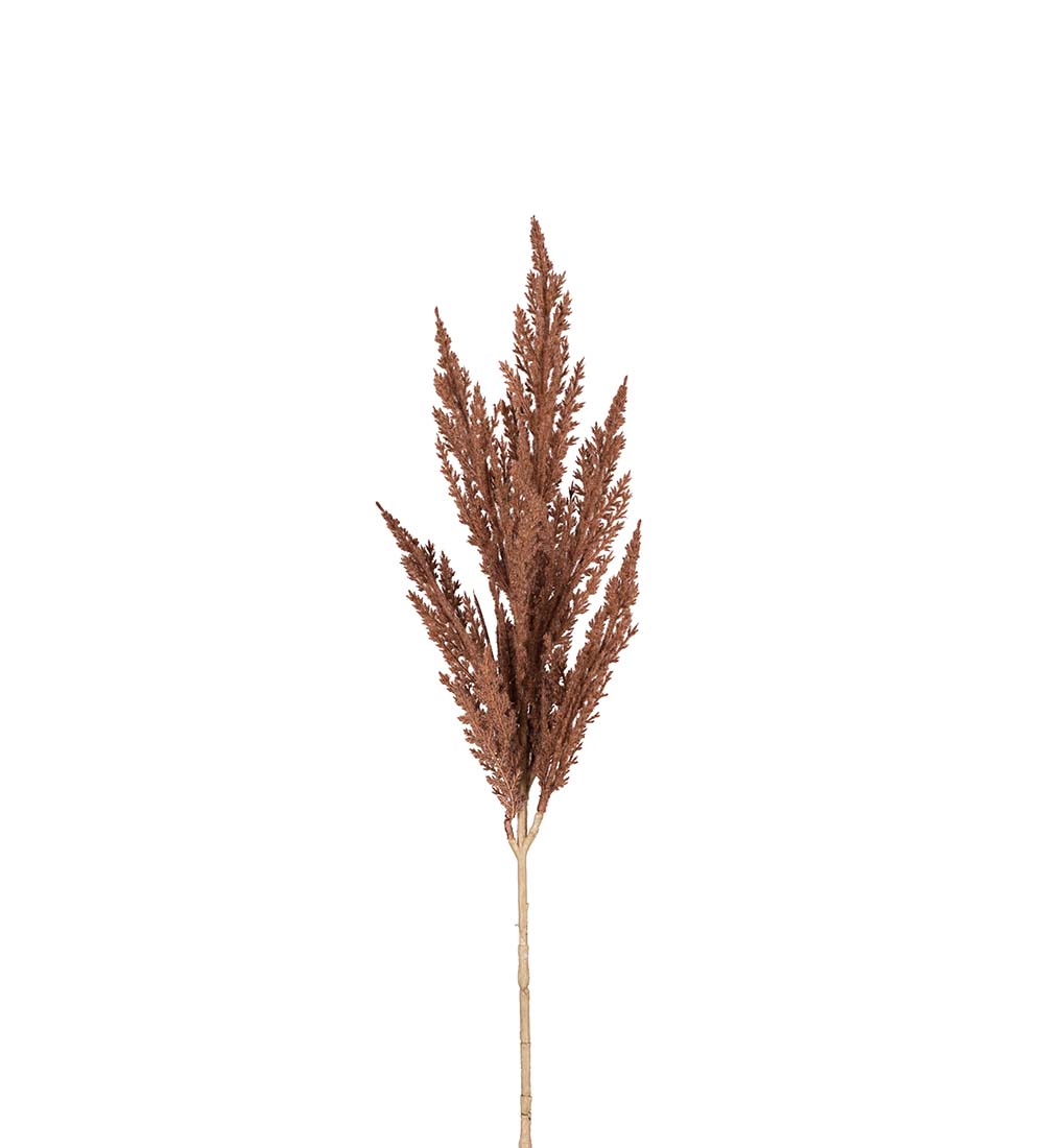Pampasgr&auml;s Brun 80cm, Konstgjord