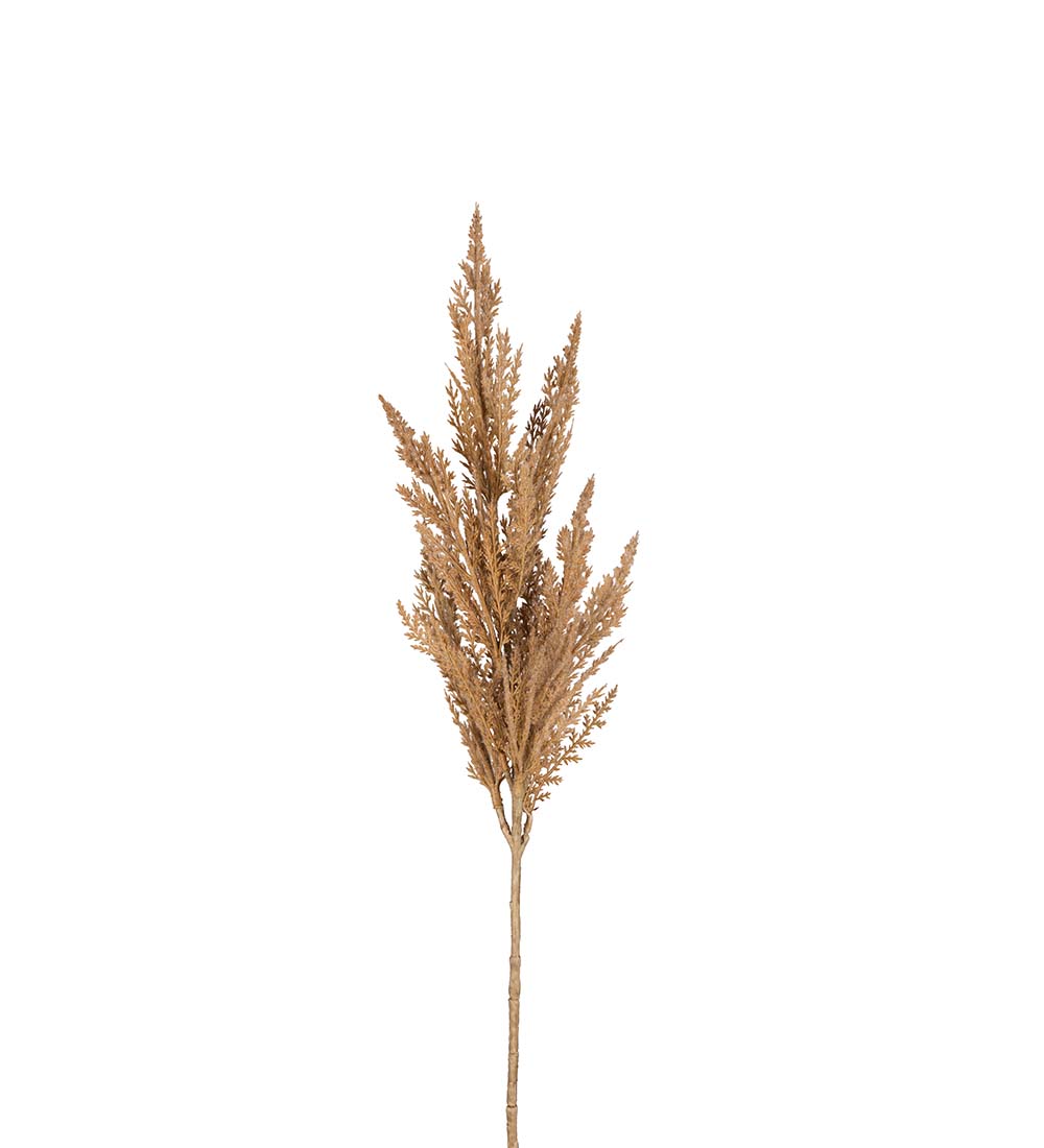 Pampasgr&auml;s Beige 80cm, Konstgjord