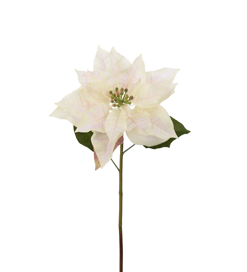 Julstj&auml;rna Cream 70cm, Konstgjord