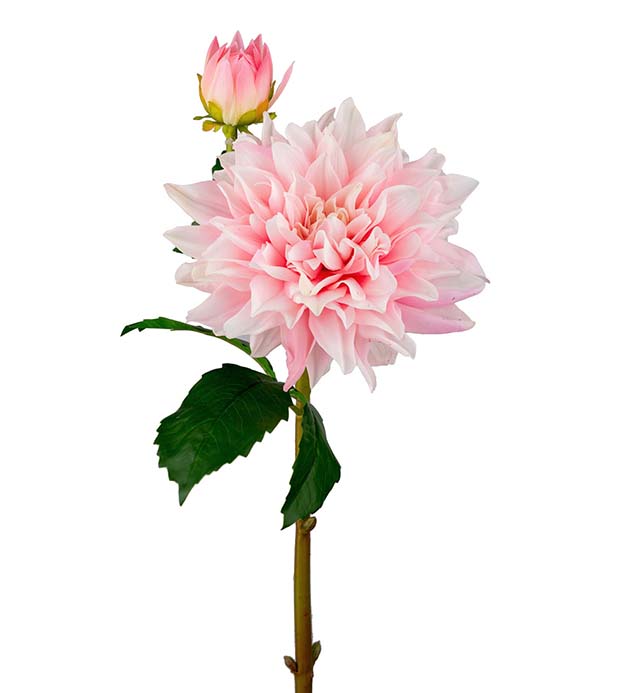 Dahlia Rosa 70cm, Konstgjord