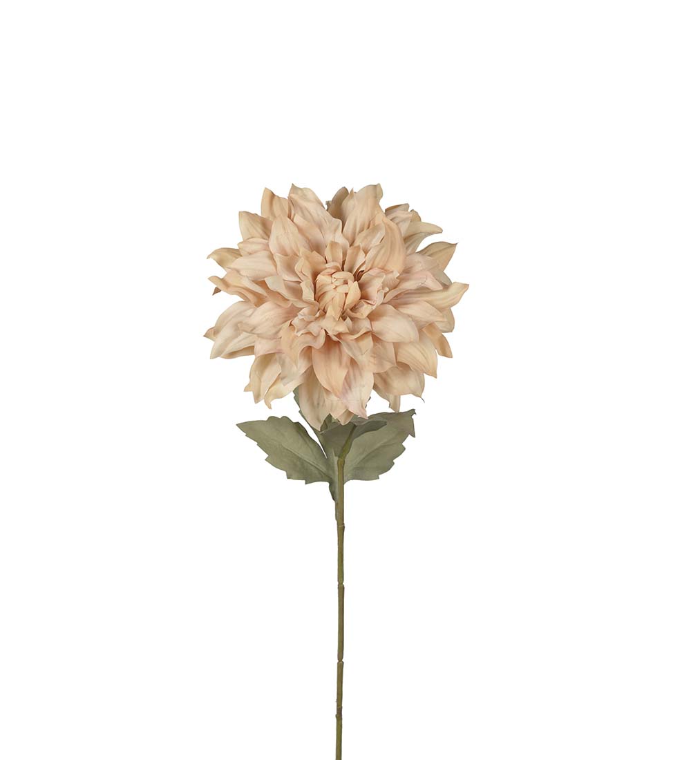 Dahlia 60cm Beige, Konstgjord
