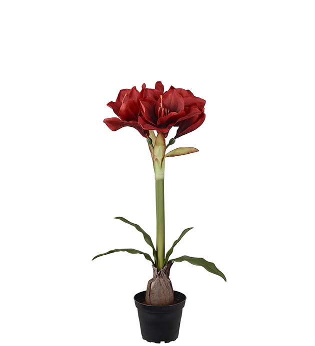 Amaryllis Röd 50cm, Konstgjord