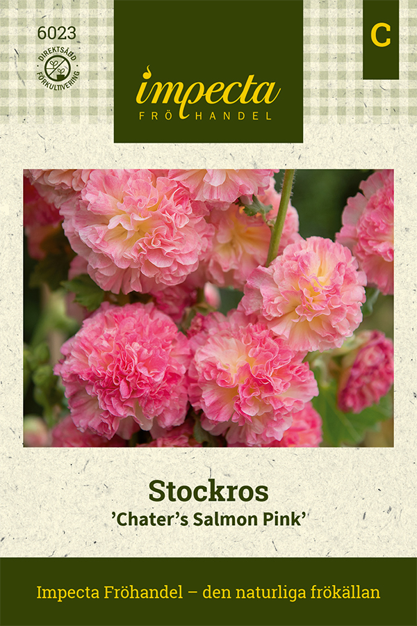 Stockros, Chater´s Salmon Pink - Alcea rosea Chater´s Salmon Pink
