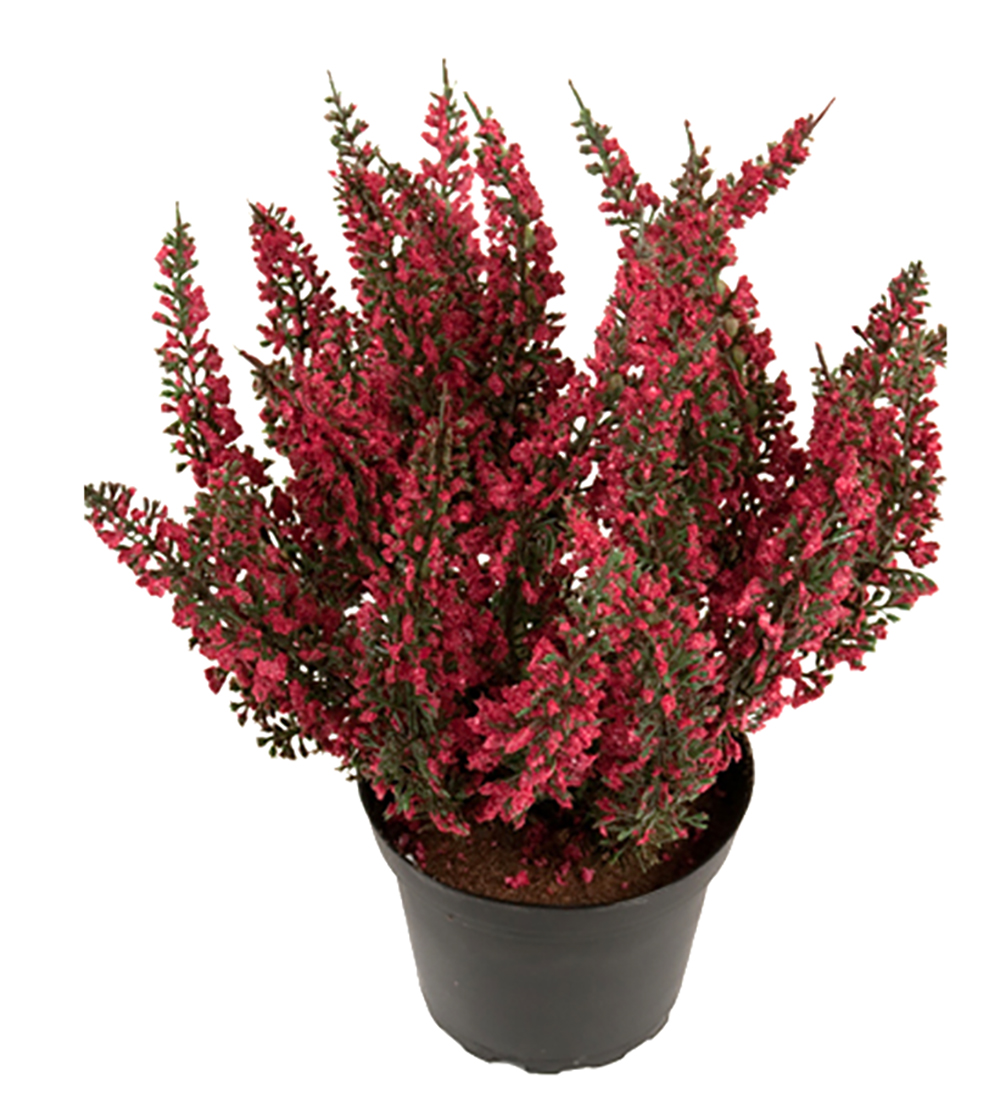 Ljung R&ouml;d/Rosa 28cm, Konstgjord