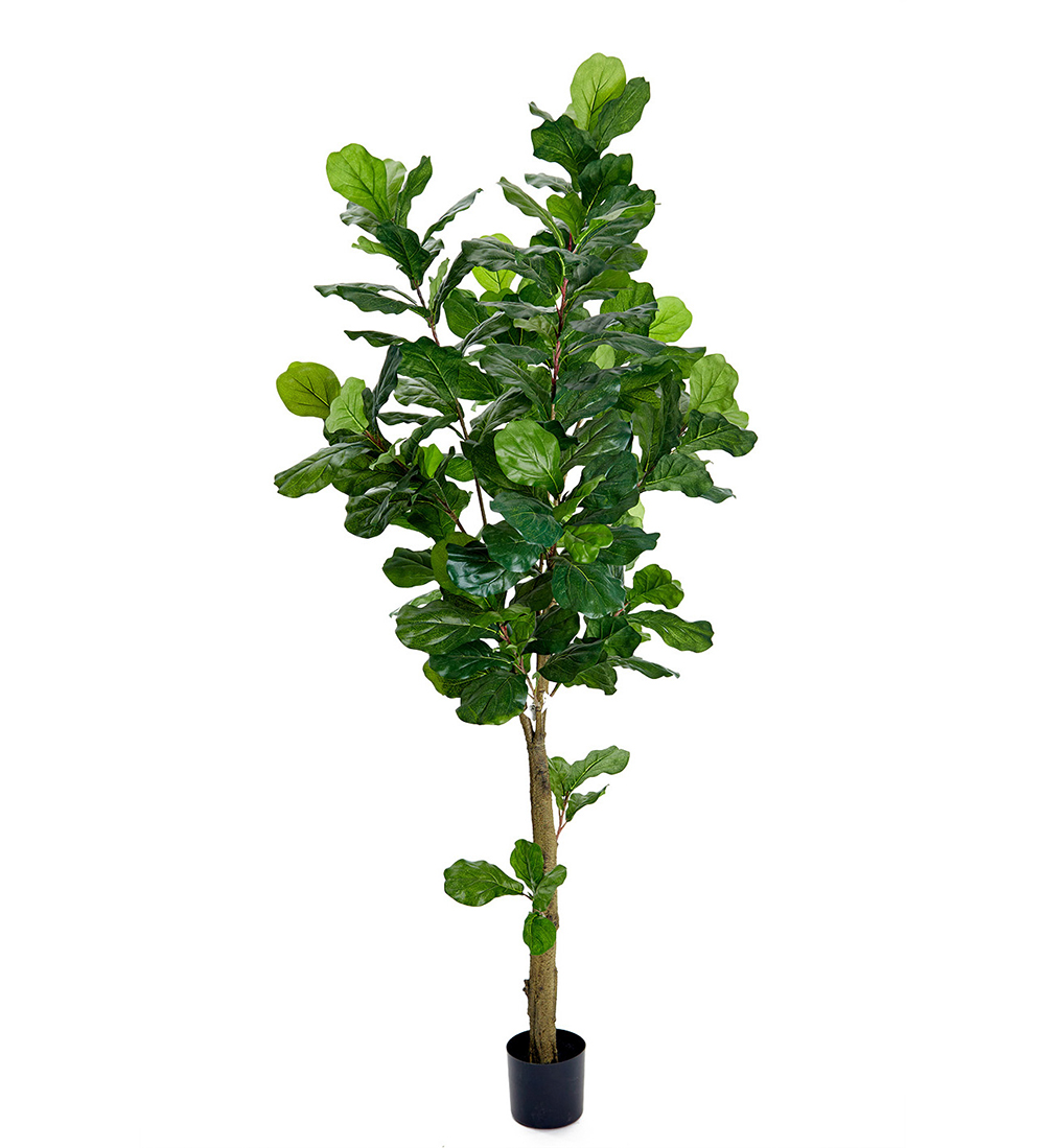 Fiolfikus Gr&ouml;n 210cm, Konstgjord