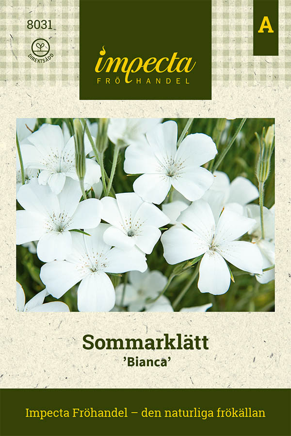 Sommarklätt Bianca - Agrostemma githago Bianca