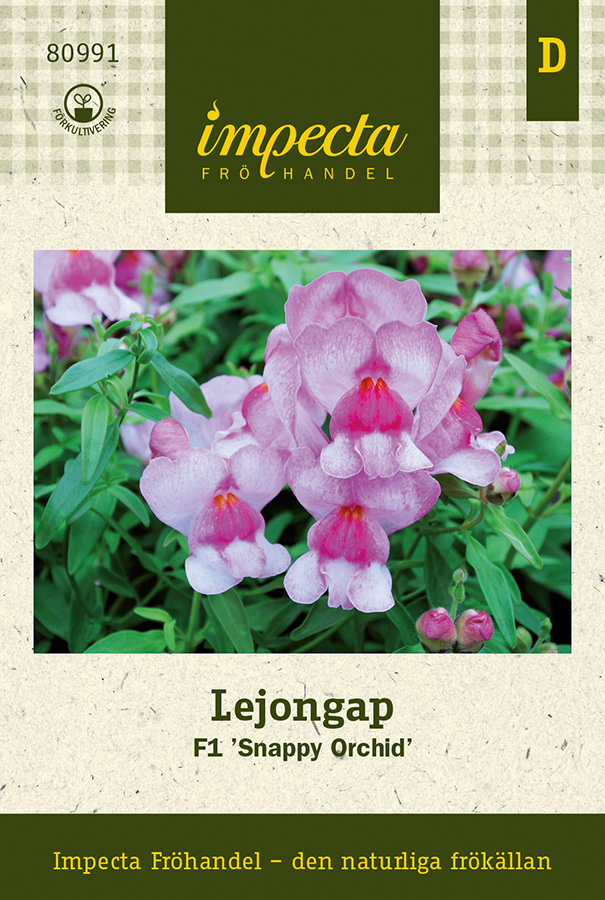 Lejongap F1 Snappy Orchid - Antirrhinum majus Snappy Orchid F1