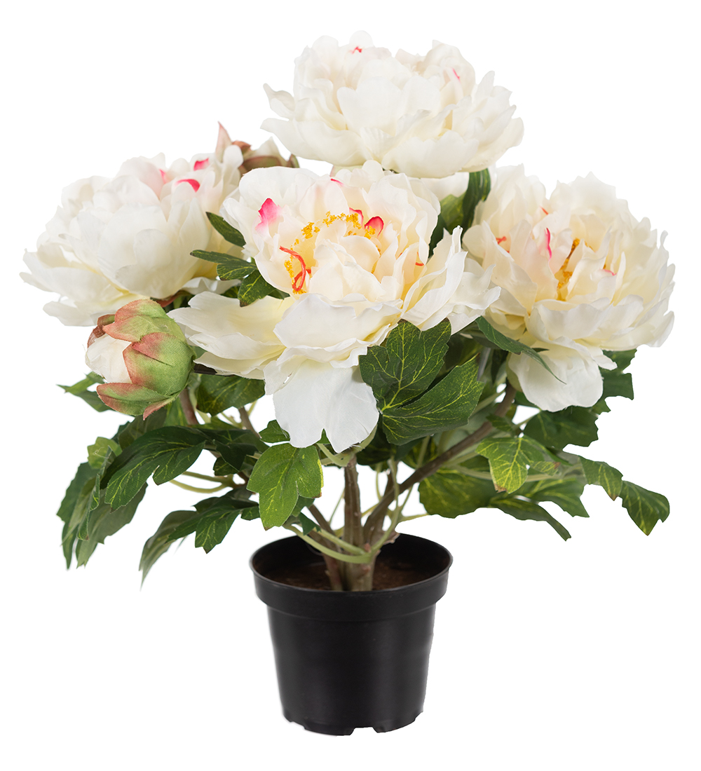 Pion Kruka Vit 35cm, Konstgjord