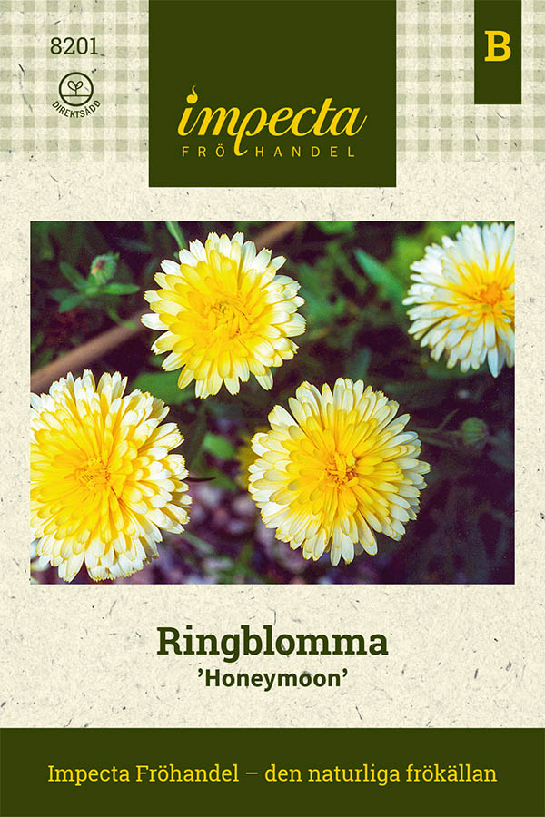 Ringblomma, Honeymoon - Calendula officinalis Honeymoon
