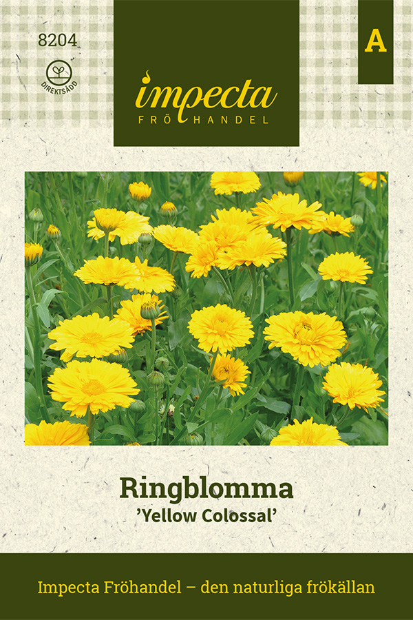Ringblomma, Yellow Colossal - Calendula officinalis Yellow Colossal