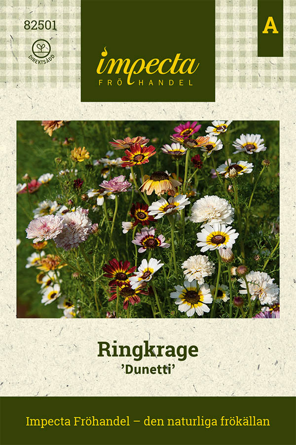 Ringkrage, Dunetti - Glebionis carinata Dunetti