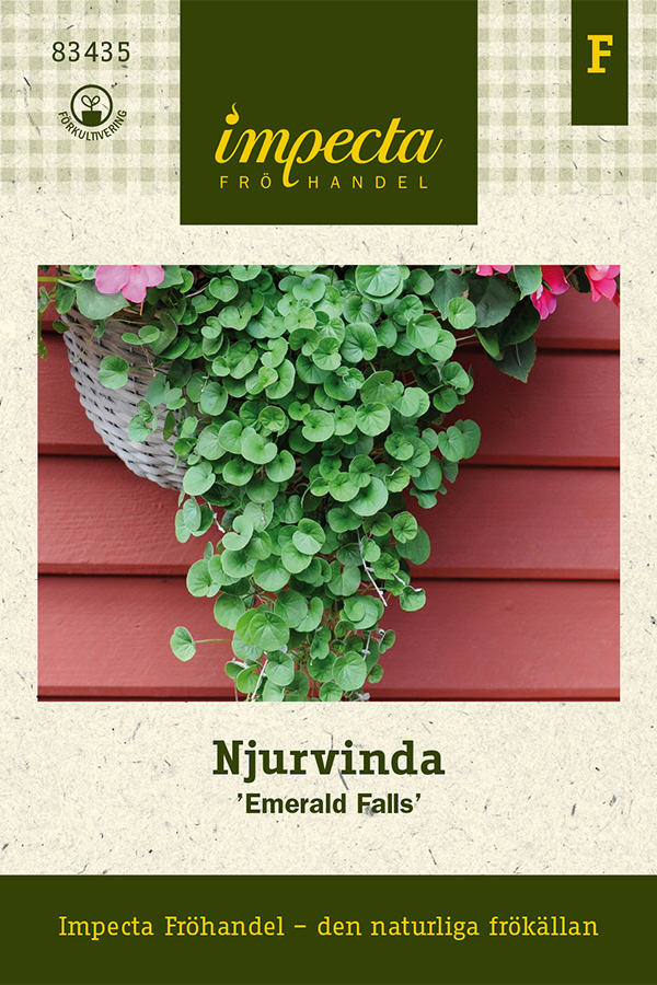 Njurvinda Emerald Falls - Dichondra repens Emerald Falls