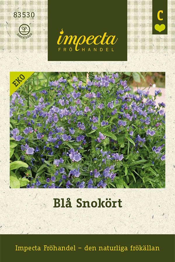 Bl&aring; Snok&ouml;rt - Echium plantagineum