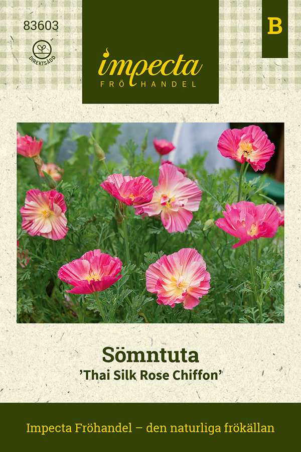 Sömntuta, Thai Silk Rose Chiffon - Eschscholzia californica Thai Silk Rose Chiffon