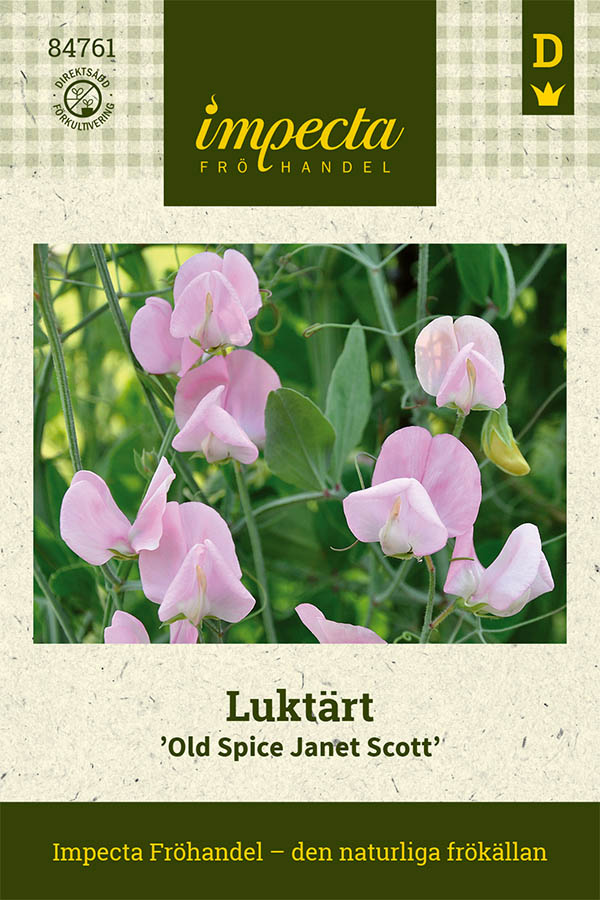 Lukt&auml;rt Old Spice Janet Scott - Lathyrus odoratus Old Spice Janet Scott