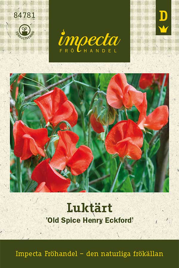 Luktärt Old Spice Henry Eckford - Lathyrus odoratus Old Spice Henry Eckford