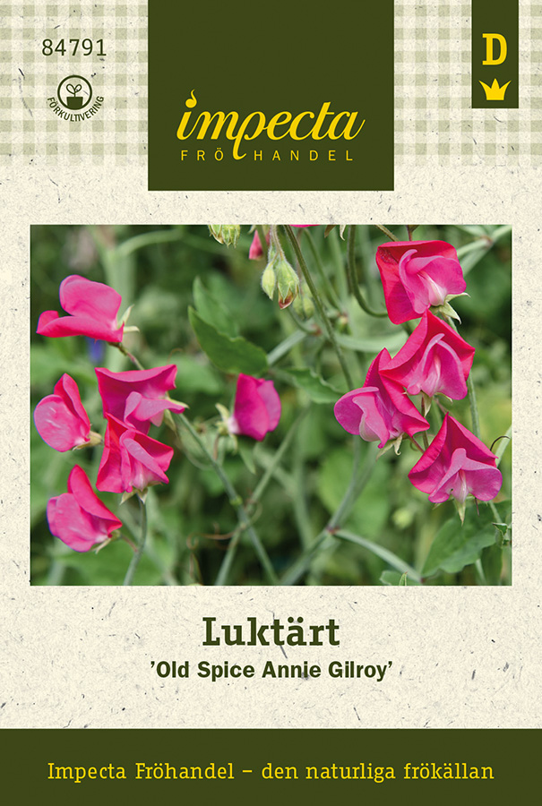 Lukt&auml;rt Old Spice Annie Gilroy - Lathyrus odoratus Old Spice Annie Gilroy
