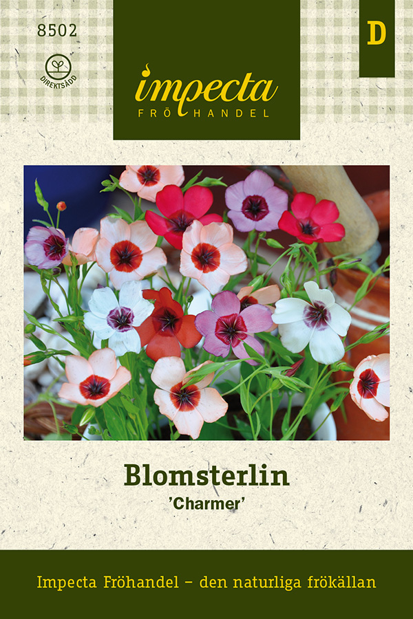 Blomsterlin Charmer - Linum grandiflorum Charmer