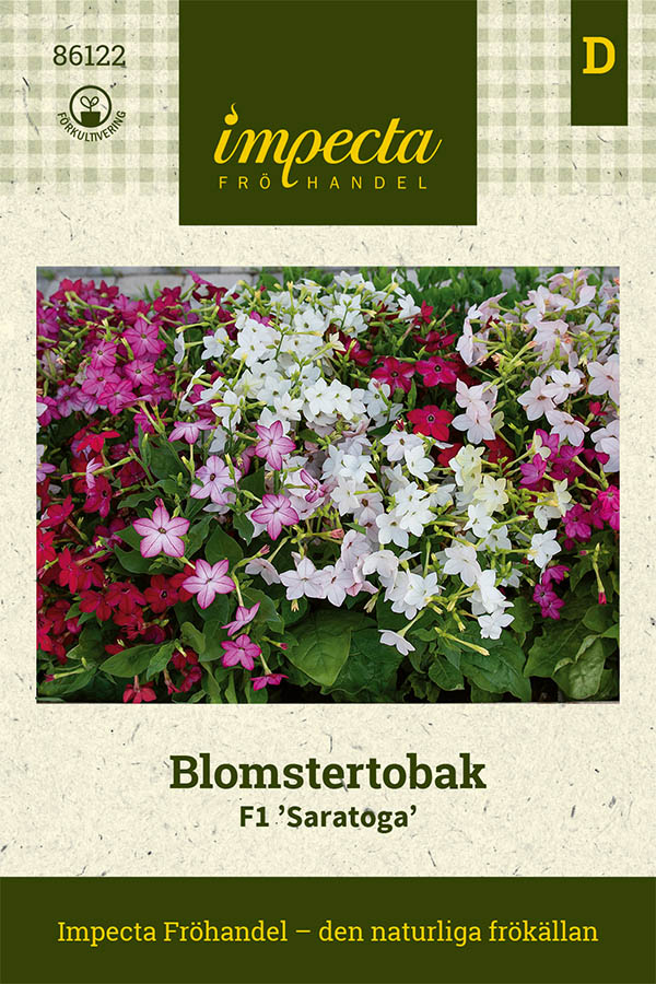 Blomstertobak, Saratoga F1 - Nicotiana x sanderae Saratoga F1