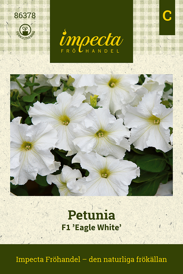 Petunia, F1 Eagle White - Petunia x hybrida grandiflora F1 Eagle White