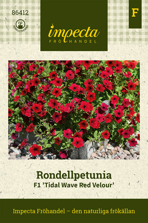 Petunia, Rondell-, F1 Tidal Wave Red Velour - Petunia hybrida F1 Tidal Wave Red Velour