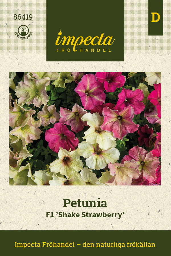 Petunia F1 Shake Strawberry - Petunia hybrida multiflora F1 Shake Strawberry