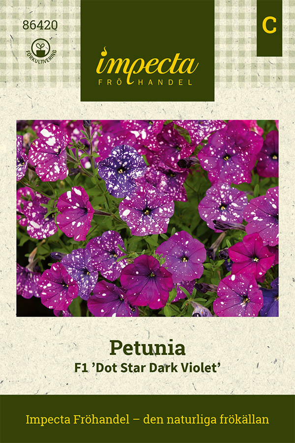 Läs mer om Petunia, Dot Star Dark Violet F1