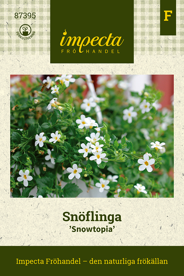 Sn&ouml;flinga, Snowtopia - Sutera cordata Snowtopia