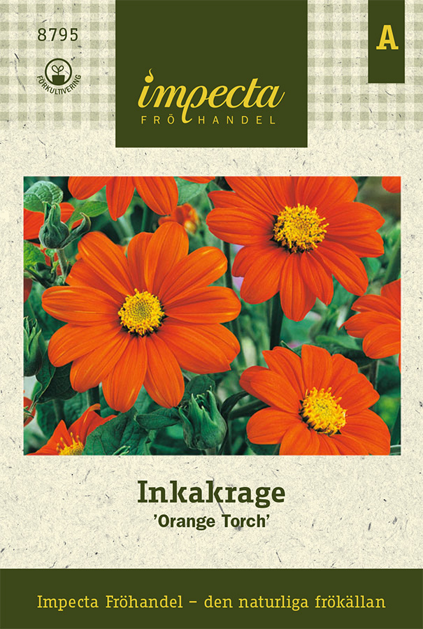 Inkakrage Orange Torch - Tithonia rotundifolia Orange Torch