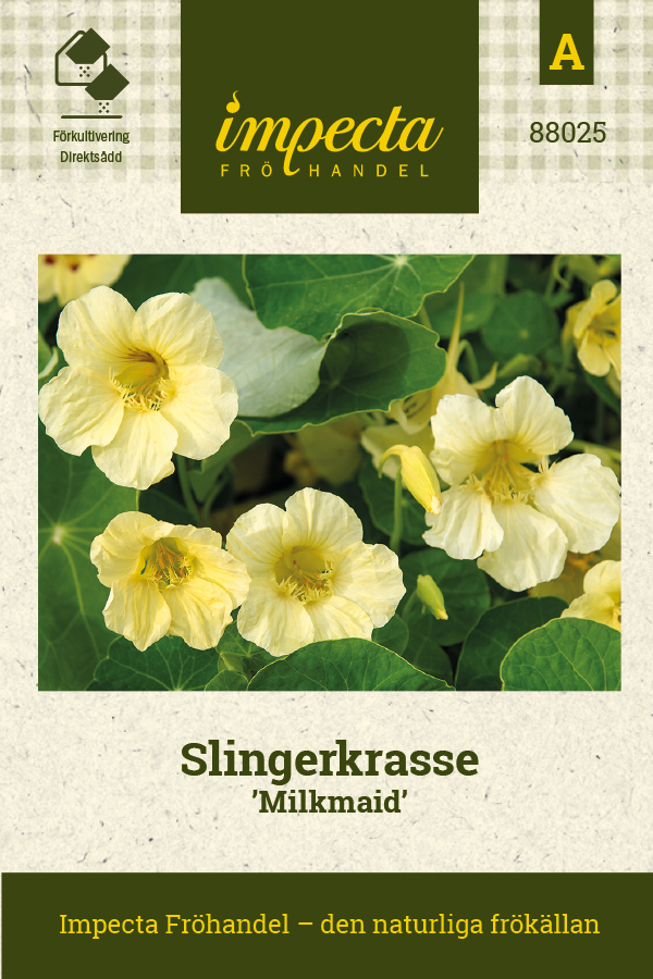 Krasse, Slinger-, Milkmaid - Tropaeolum majus Milkmaid