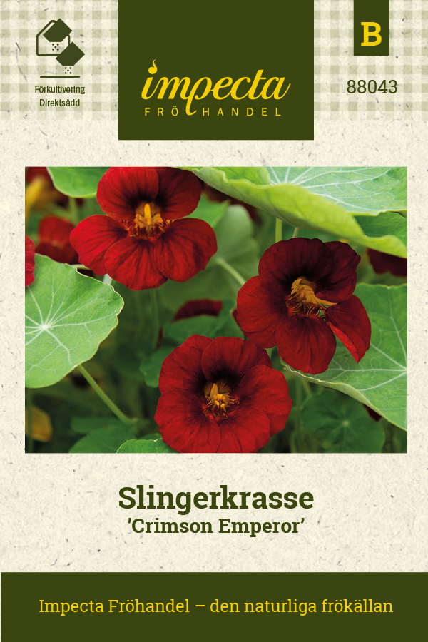 Krasse, Slinger-, Crimson Emperor - Tropaeolum majus Crimson Emperor