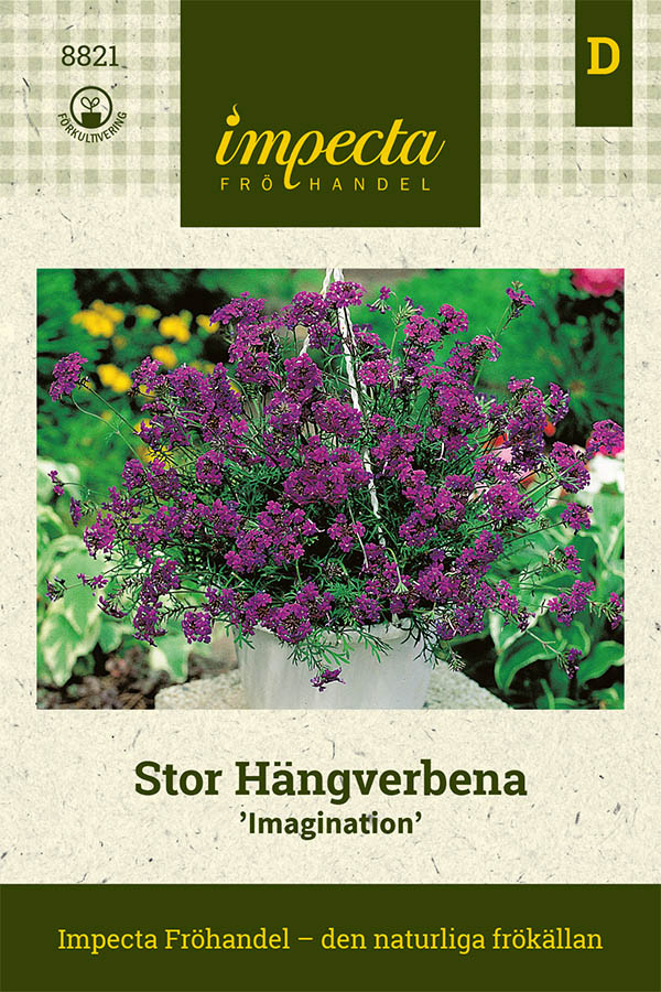 Verbena, H&auml;ng-, Imagination - Glanduria speciosa Imagination