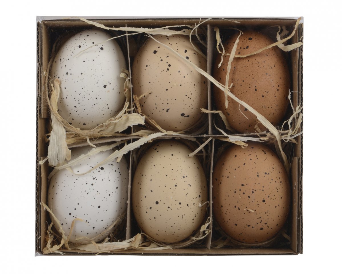 Ägg 6-pack Brun Mix