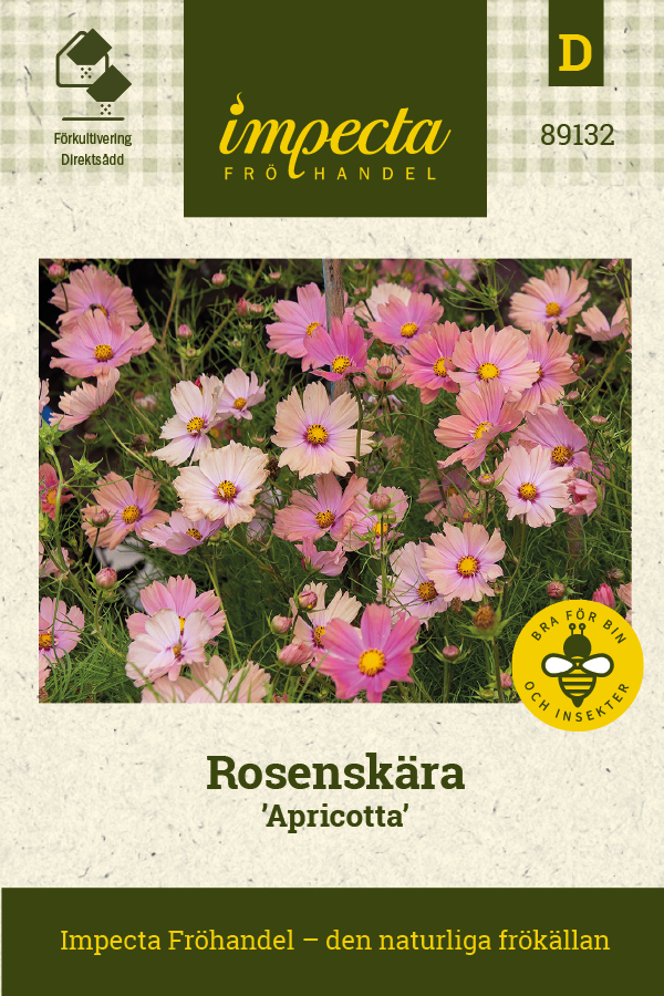 Rosenskära, Apricotta - Cosmos bipinnatus Apricotta