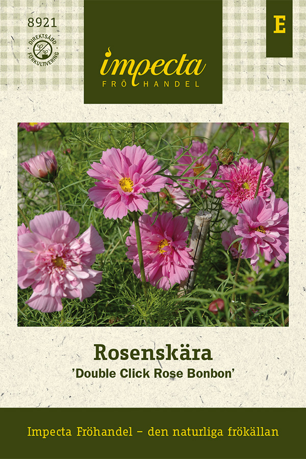 Rosenskära, Double Click Rose Bonbon - Cosmos bipinnatus Double Click Rose Bonbon