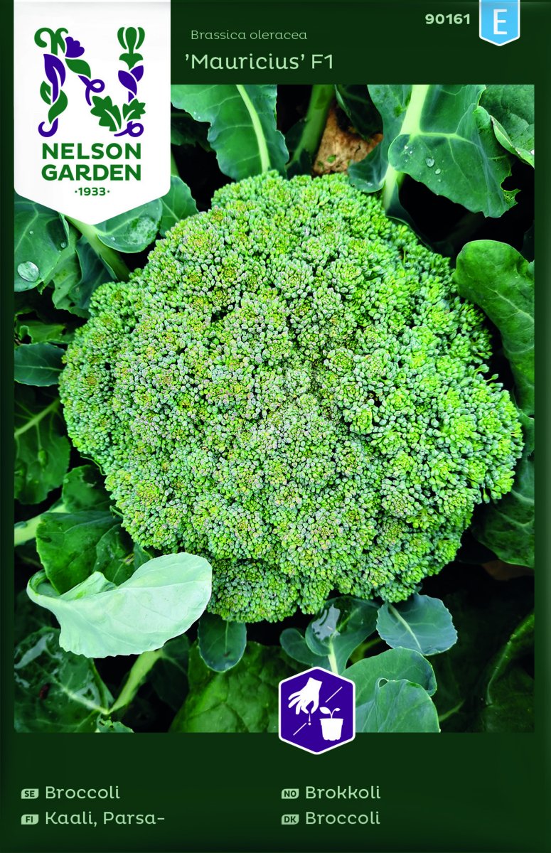Broccoli Mauricius F1 - Brassica oleracea Mauricius F1