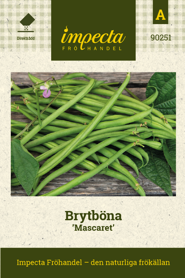 Brytb&ouml;na Mascaret - Phaseolus vulgaris Mascaret