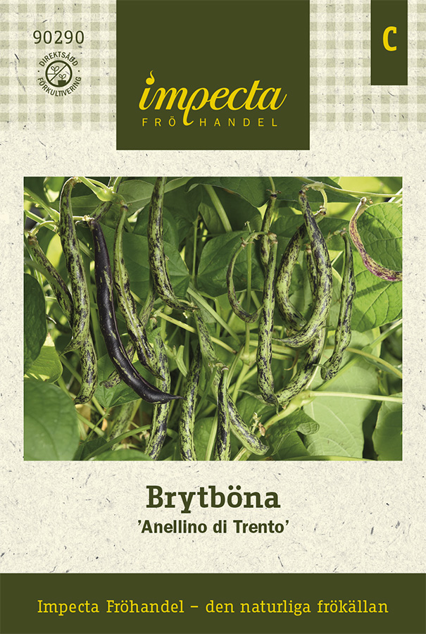 Böna, Bryt-, Anellino Di Trento