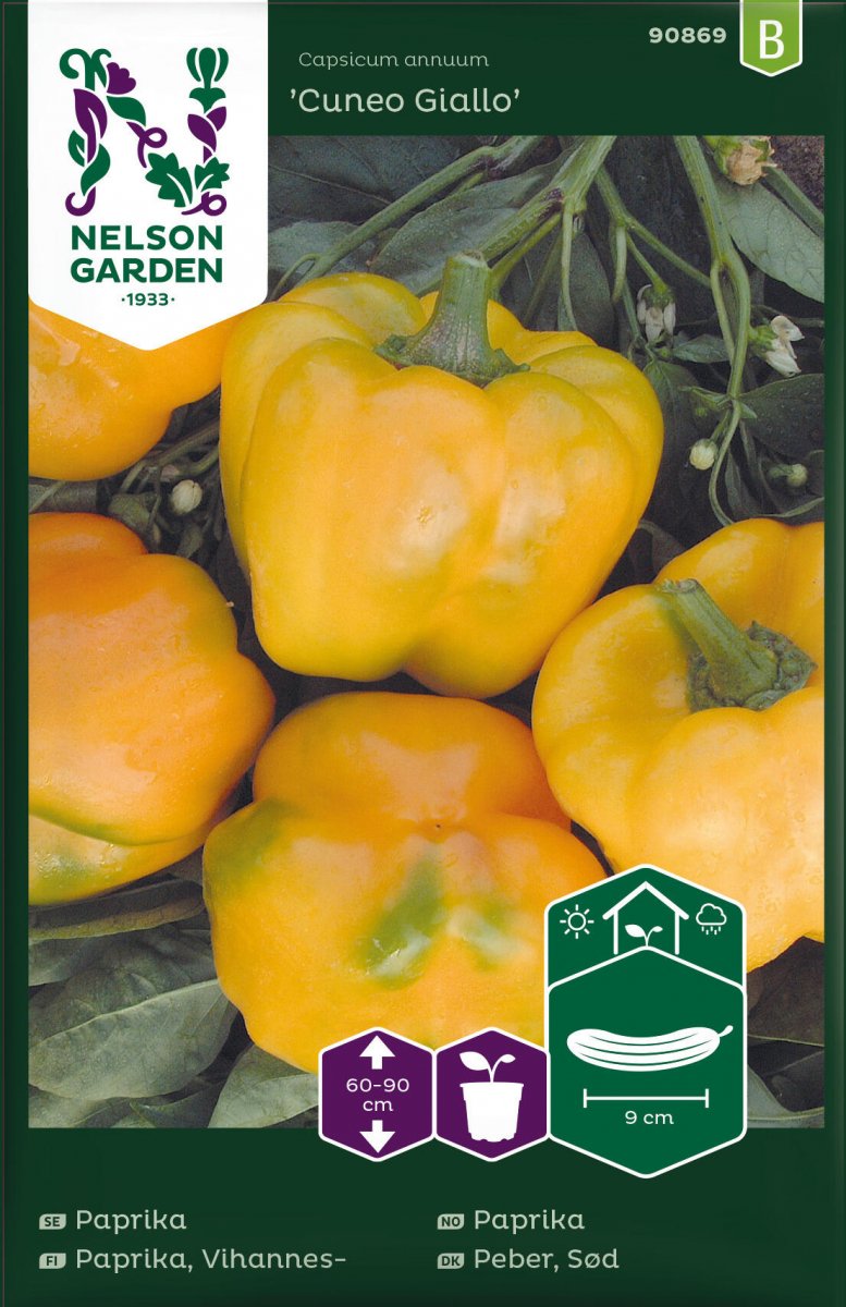 Paprika Cuneo Giallo - Capsicum annuum Cuneo Giallo