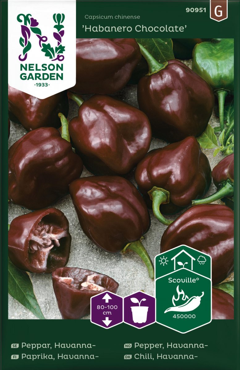 Havannapeppar Habanero Chocolate - Capsicum chinense Habanero Chocolate