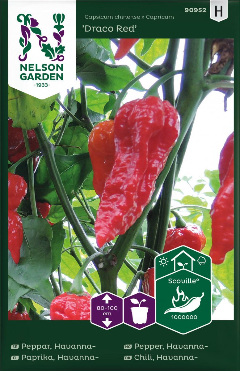 Havannapeppar Draco Red - Capsicum chinense x Capricum Draco Red