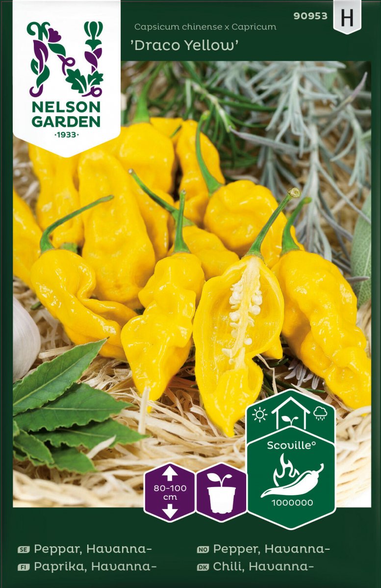 Havannapeppar Draco Yellow - Capsicum chinense x Capricum Draco Yellow