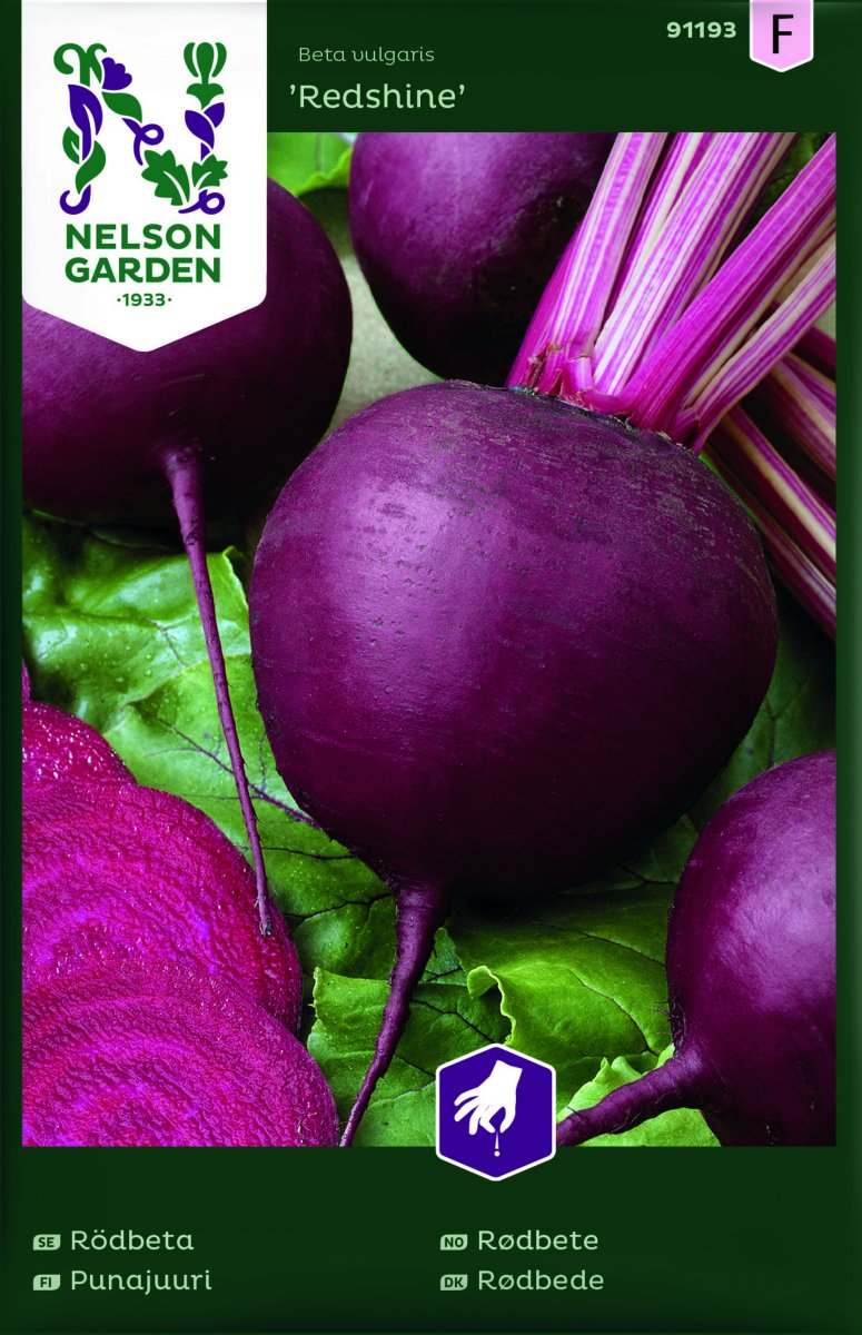 Rödbeta Redshine - Beta vulgaris Redshine