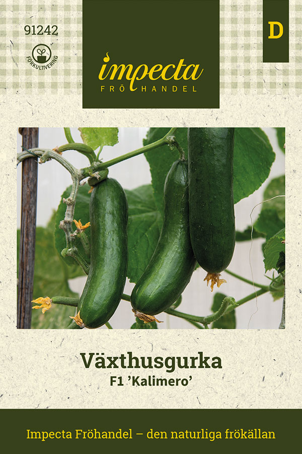 V&auml;xthusgurka Kalimero F1 - Cucumis sativus F1 Kalimero